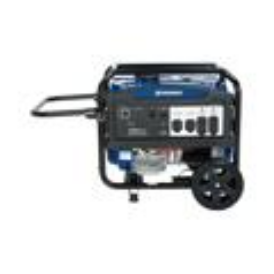 Picture of Powerhorse Generator  9250
