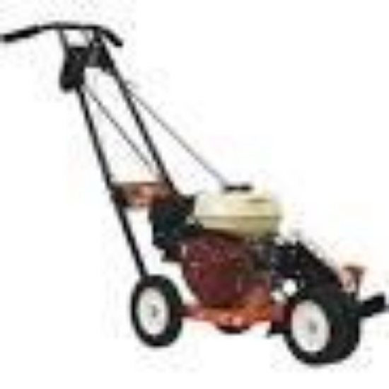 Picture of Brave 10" Straight Blade Edger